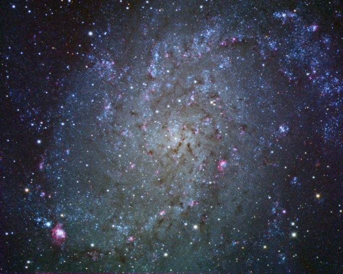M33